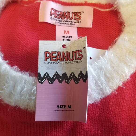 Peanuts Be My Valentine Sweater (Charlie Brown) - Picture 6 of 13